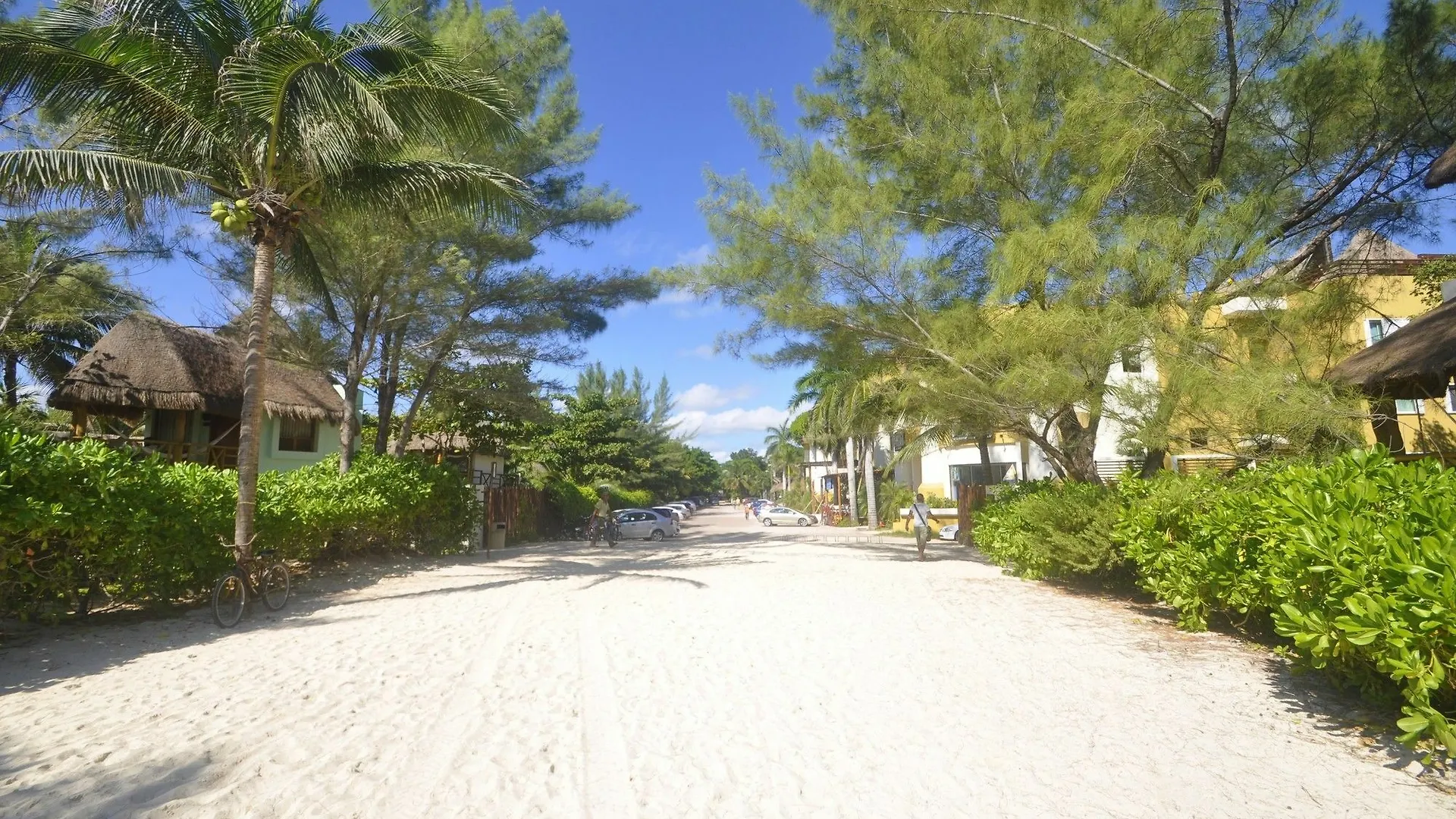 Terrazas 104 Lägenhet Playa del Carmen